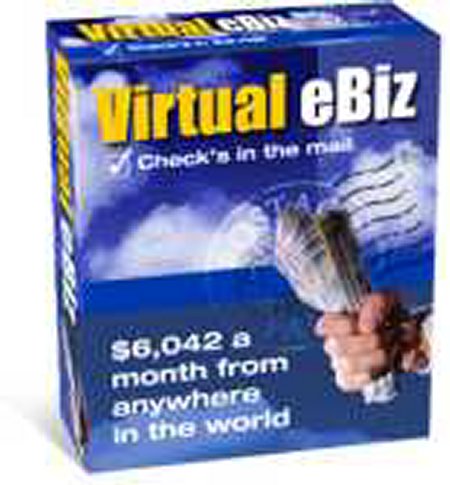 virtualebiz.jpg